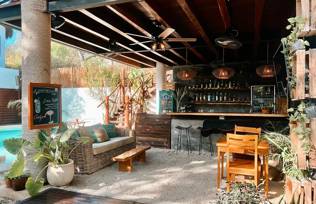 Mimosa Tulum-1