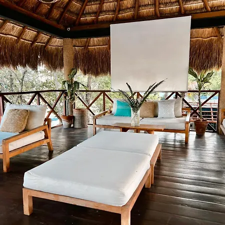 Mimosa Tulum-2
