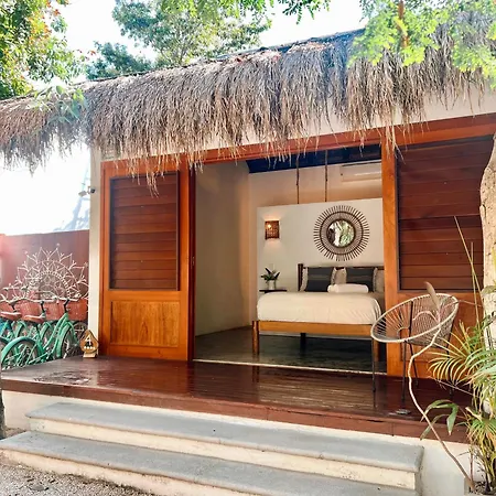 Mimosa Tulum-2